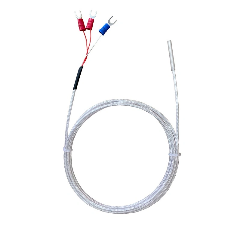 Temperature Sensor Rtd PT100 SS304 Probe with 1000mm PTFE Cable Thermal Resistance PT100 Rtd