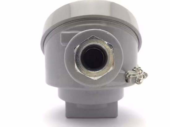 Terminal Head Silvery Thermocouple Head Ts/Tl with 2 Poles Terminal Block
